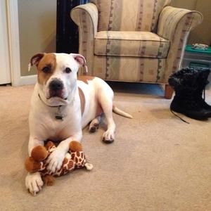 Meet your Posher, Barbara